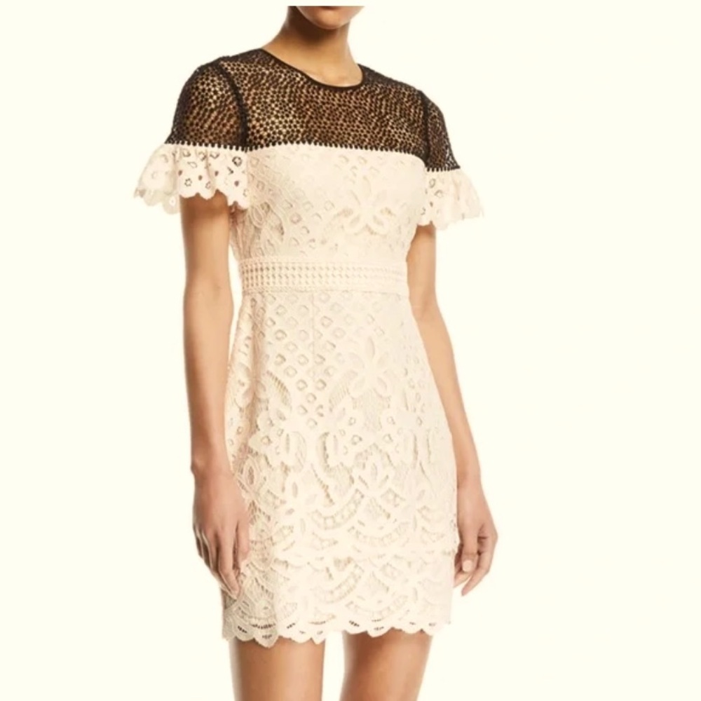 Club Monaco Cream and Black Lace Mini Dress